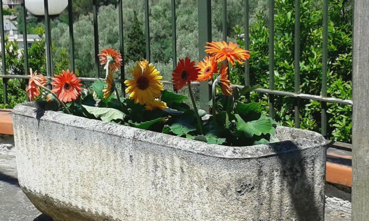 Appartamento Bellavista مونيلّي المظهر الخارجي الصورة