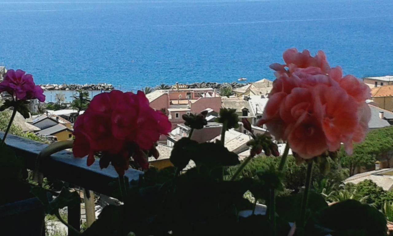 Appartamento Bellavista مونيلّي المظهر الخارجي الصورة